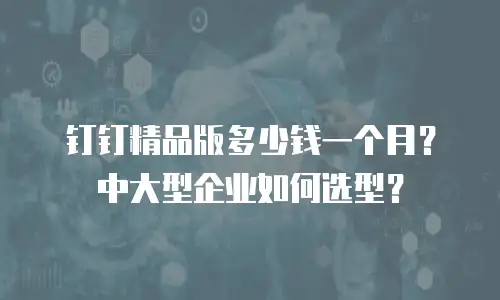 钉钉精品版多少钱一个月？中大型企业如何选型？