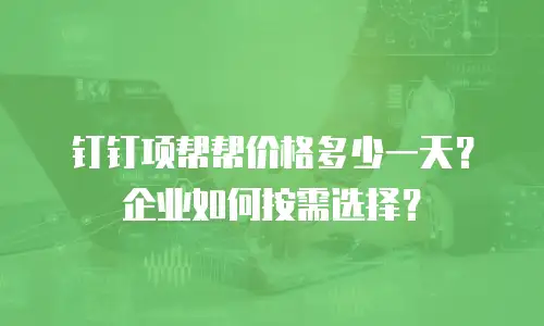 钉钉项帮帮价格多少一天？企业如何按需选择？