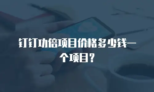 钉钉功倍项目价格多少钱一个项目？