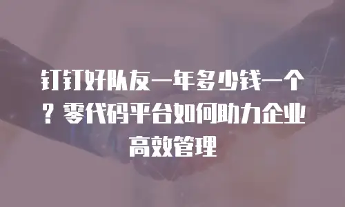 钉钉好队友一年多少钱一个？零代码平台如何助力企业高效管理