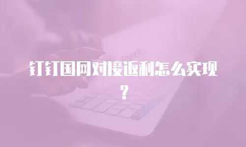 钉钉国网对接返利怎么实现？