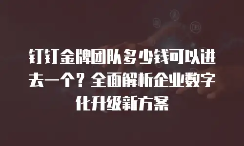 钉钉金牌团队多少钱可以进去一个？全面解析企业数字化升级新方案