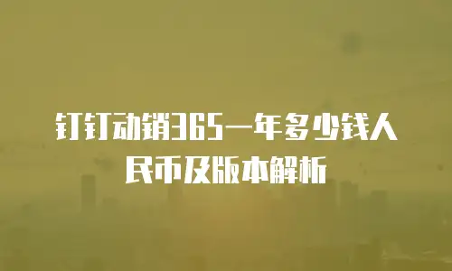钉钉动销365一年多少钱人民币及版本解析