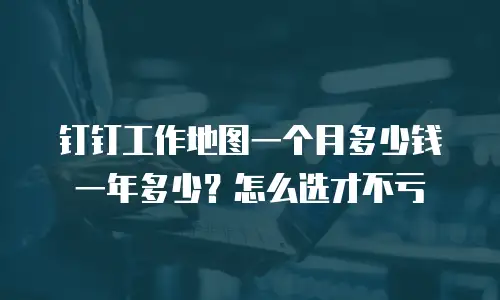 钉钉工作地图一个月多少钱一年多少？怎么选才不亏