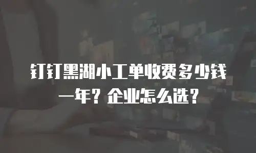 钉钉黑湖小工单收费多少钱一年？企业怎么选？