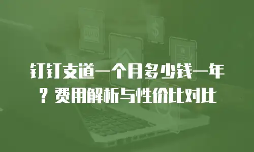 钉钉支道一个月多少钱一年？费用解析与性价比对比
