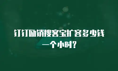 钉钉励销搜客宝扩容多少钱一个小时？