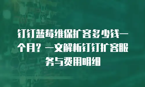 钉钉蓝莓维保扩容多少钱一个月？一文解析钉钉扩容服务与费用明细