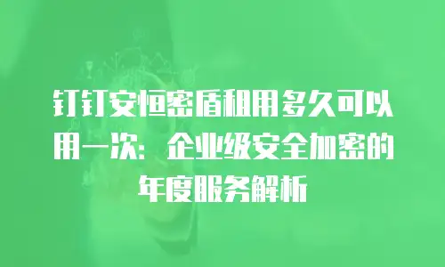 钉钉安恒密盾租用多久可以用一次：企业级安全加密的年度服务解析