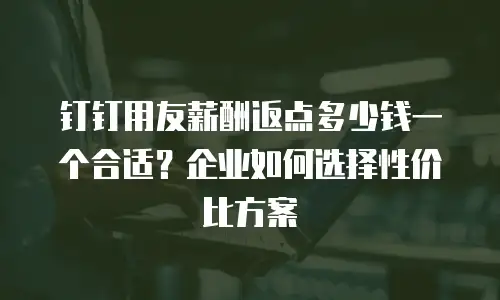 钉钉用友薪酬返点多少钱一个合适？企业如何选择性价比方案