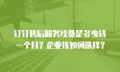 钉钉售后服务续费是多少钱一个月？企业该如何选择？