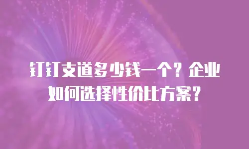 钉钉支道多少钱一个？企业如何选择性价比方案？