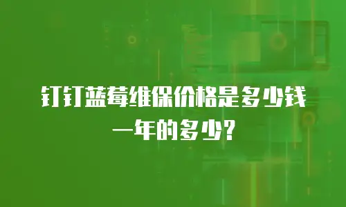 钉钉蓝莓维保价格是多少钱一年的多少？