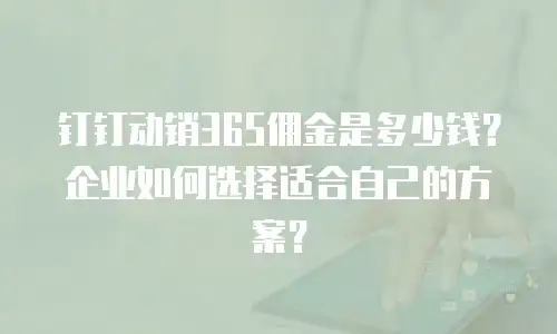 钉钉动销365佣金是多少钱？企业如何选择适合自己的方案？