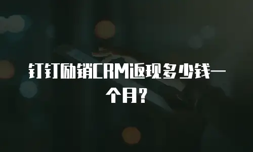 钉钉励销CRM返现多少钱一个月？
