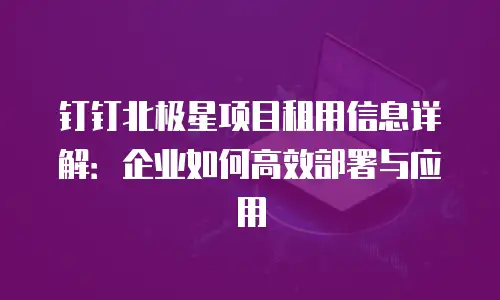 钉钉北极星项目租用信息详解：企业如何高效部署与应用