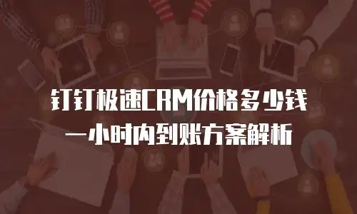 钉钉极速CRM价格多少钱 一小时内到账方案解析