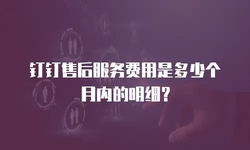 钉钉售后服务费用是多少个月内的明细？
