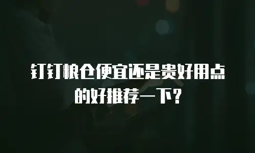 钉钉粮仓便宜还是贵好用点的好推荐一下？