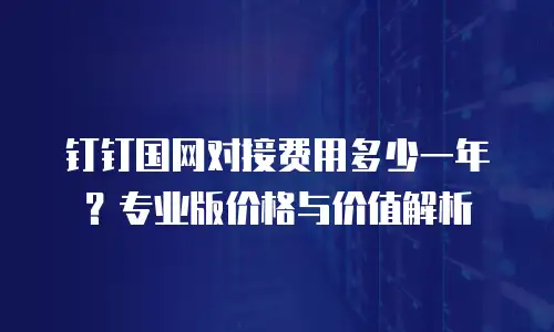 钉钉国网对接费用多少一年？专业版价格与价值解析