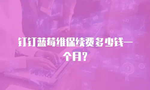 钉钉蓝莓维保续费多少钱一个月？