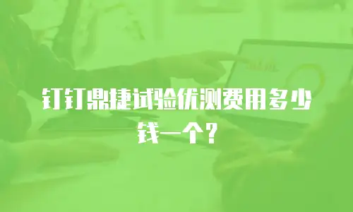 钉钉鼎捷试验优测费用多少钱一个？