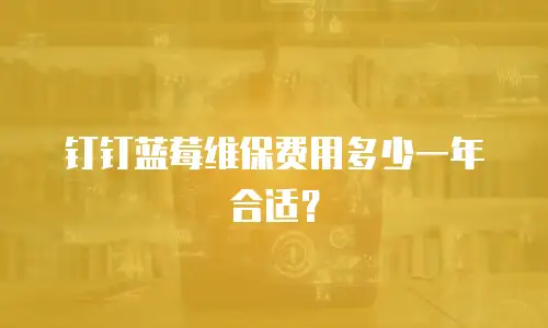 钉钉蓝莓维保费用多少一年合适？