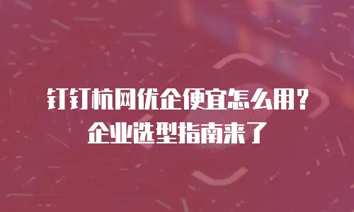 钉钉杭网优企便宜怎么用？企业选型指南来了