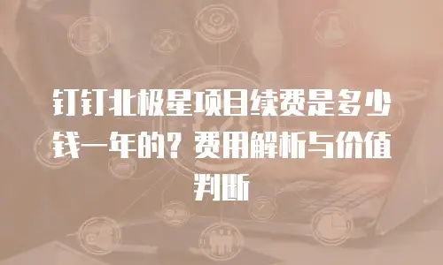 钉钉北极星项目续费是多少钱一年的？费用解析与价值判断