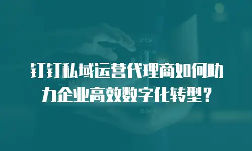 钉钉私域运营代理商如何助力企业高效数字化转型？