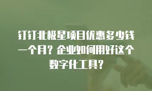钉钉北极星项目优惠多少钱一个月？企业如何用好这个数字化工具？
