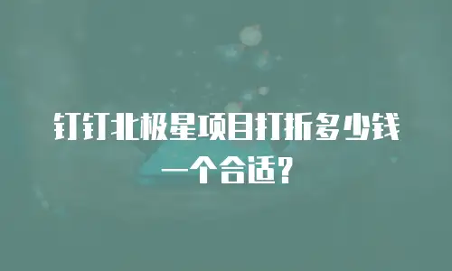 钉钉北极星项目打折多少钱一个合适？