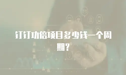 钉钉功倍项目多少钱一个周期？