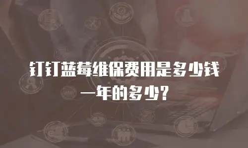 钉钉蓝莓维保费用是多少钱一年的多少？