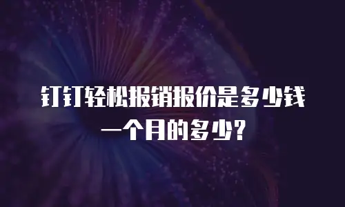 钉钉轻松报销报价是多少钱一个月的多少？
