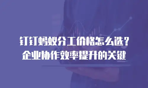 钉钉蚂蚁分工价格怎么选？企业协作效率提升的关键