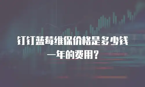 钉钉蓝莓维保价格是多少钱一年的费用？
