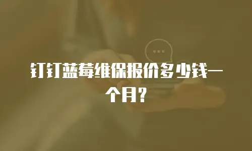 钉钉蓝莓维保报价多少钱一个月？