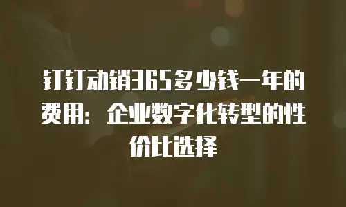 钉钉动销365多少钱一年的费用：企业数字化转型的性价比选择