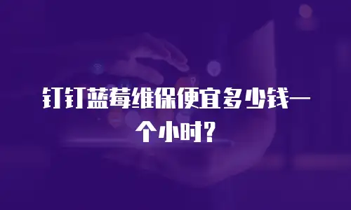 钉钉蓝莓维保便宜多少钱一个小时？