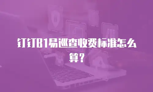 钉钉B1易巡查收费标准怎么算？