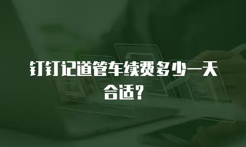 钉钉记道管车续费多少一天合适？