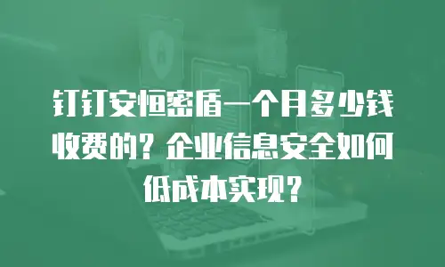 钉钉安恒密盾一个月多少钱收费的？企业信息安全如何低成本实现？