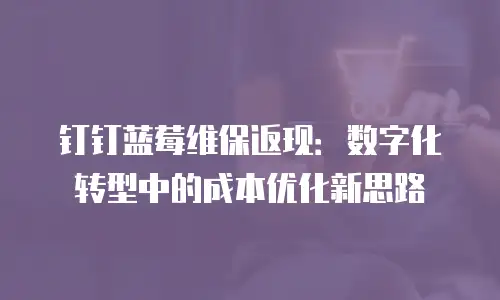 钉钉蓝莓维保返现：数字化转型中的成本优化新思路