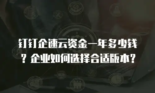 钉钉企速云资金一年多少钱？企业如何选择合适版本？