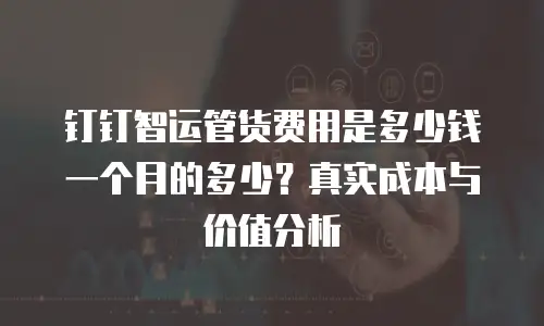钉钉智运管货费用是多少钱一个月的多少？真实成本与价值分析