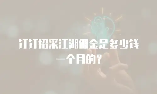 钉钉招采江湖佣金是多少钱一个月的？