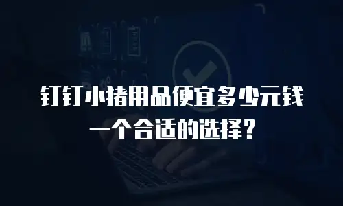 钉钉小猪用品便宜多少元钱一个合适的选择？