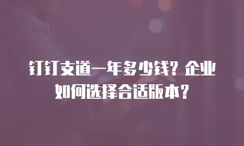 钉钉支道一年多少钱？企业如何选择合适版本？