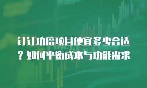 钉钉功倍项目便宜多少合适？如何平衡成本与功能需求